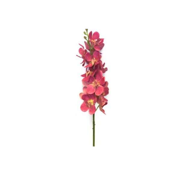 Toolhome Blossoms - Orchid Vanda Pink - 74cm - Pack of 4