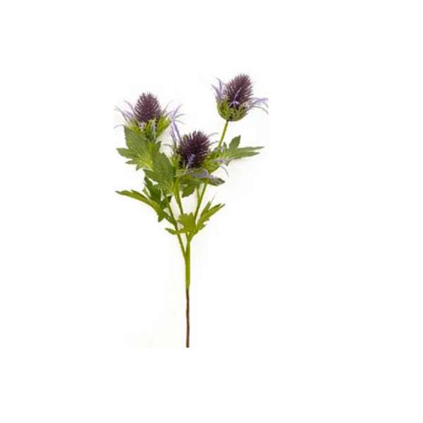 Toolhome Blossoms - Thistle - 67cm