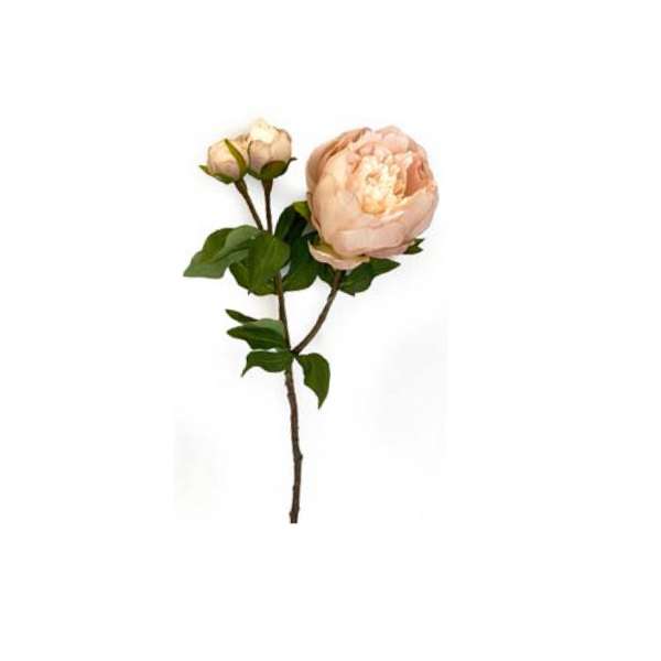 Toolhome Blossoms - Peony - Sand - Pack of 6 Stems - 49cm