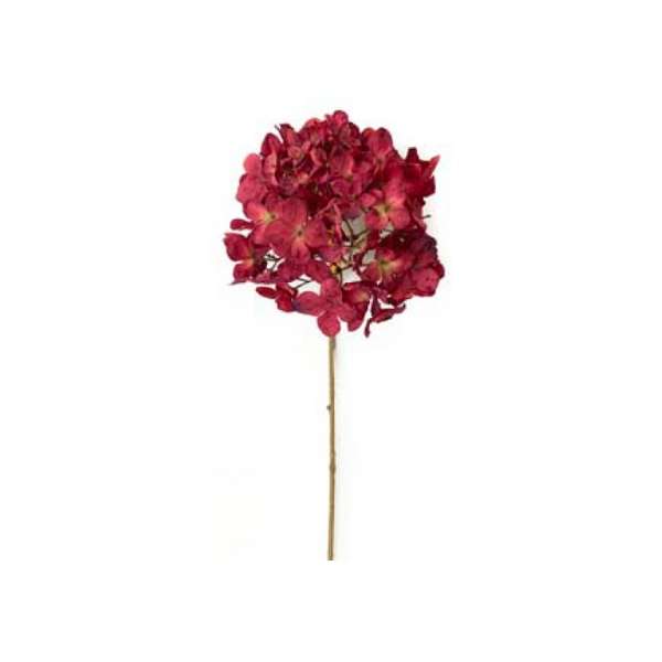 Toolhome Blossoms - Hydrangea Dry Beauty - 44cm - Pack of 12