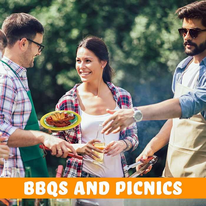 Reusable Plastic Paper Plate Holders - Set Of 12