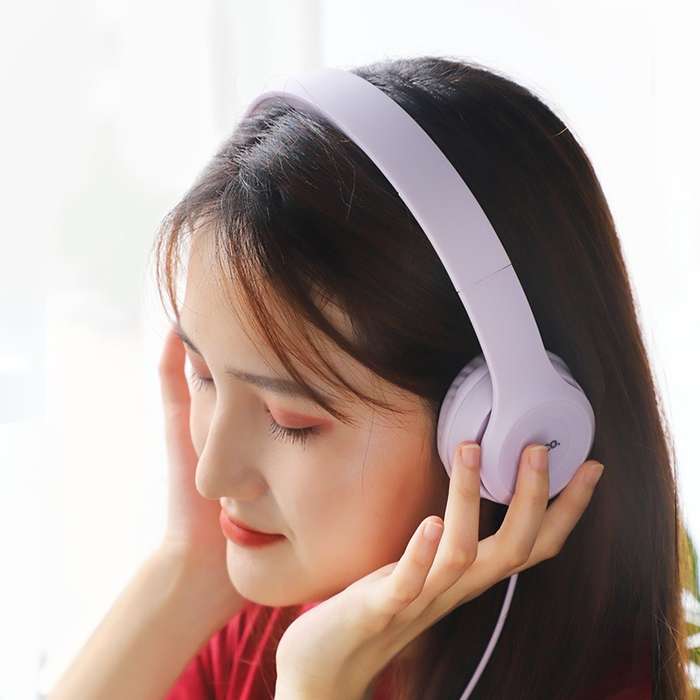 HOCO W21 Wired Headphones  Graceful Charm Headset With Mic