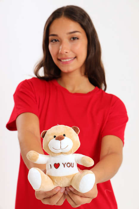 Valentine's Day Plush Teddy Bear