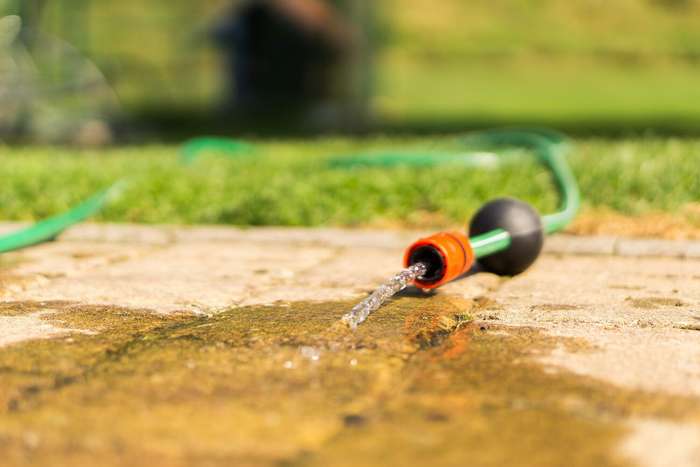 When to Water Vegetables | Watering Chart | The Old Farmer's Almanac