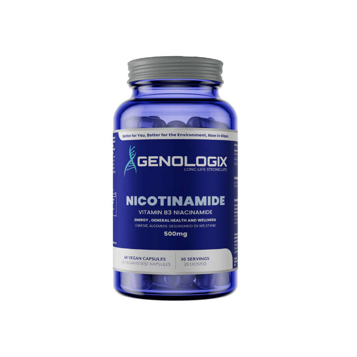 Genologix Nicotinamide (Vitamin B3) 500mg 60