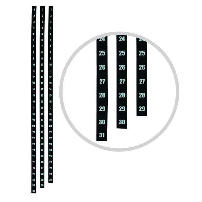 Parrot Part - Year Planner Date Strips (1200mm)