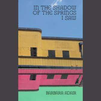 IN THE SHADOW OF THE SPRINGS I SAW - Barbara Adair