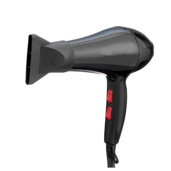 2200W Professional Hair Dryer