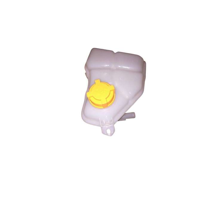 Fiesta 3 Water Bottle