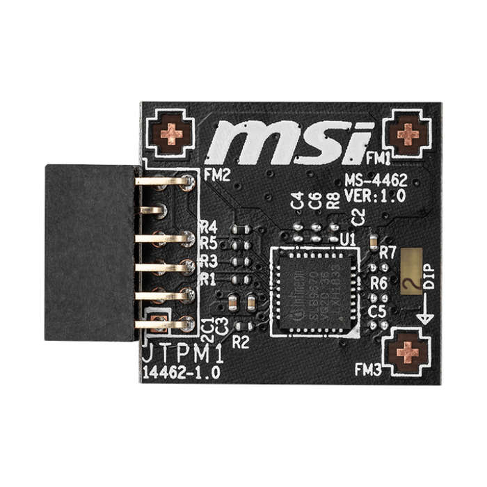 MSI TPM2.0 4462