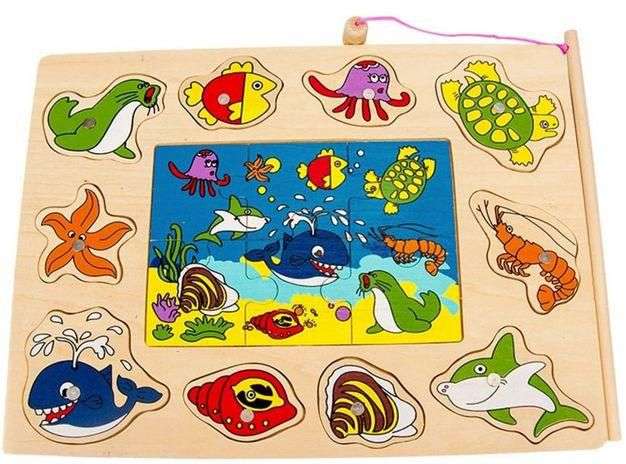 Magnetic Fishing puzzle-1Rod