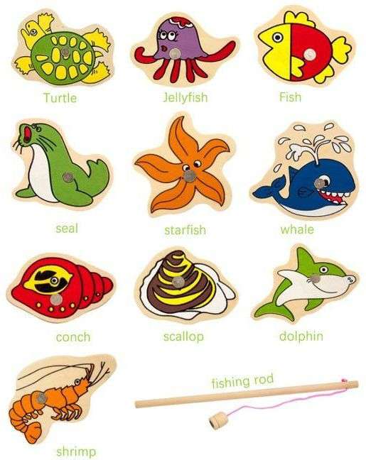 Magnetic Fishing puzzle-1Rod
