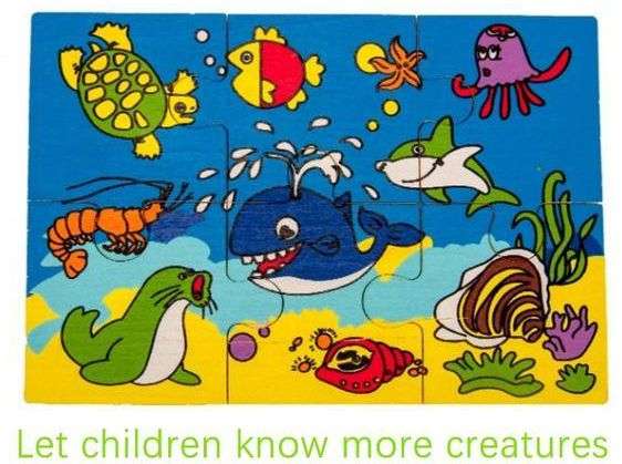 Magnetic Fishing puzzle-1Rod