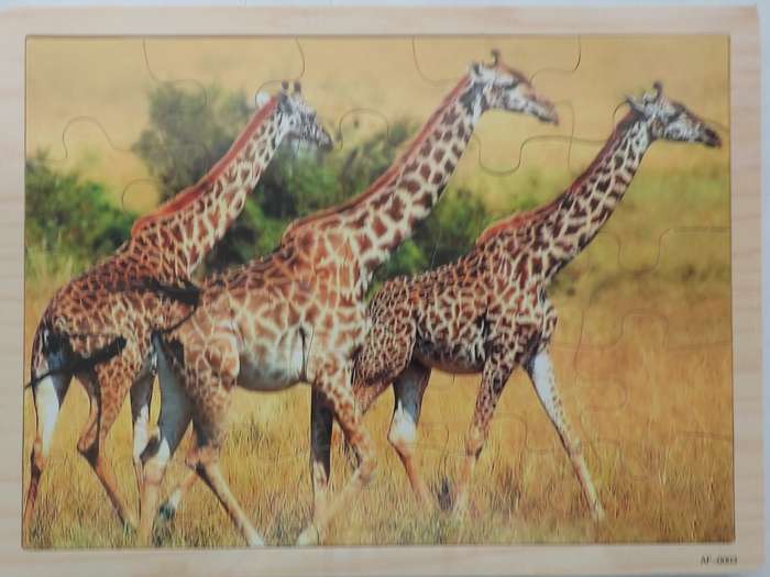A3- Animal Puzzle