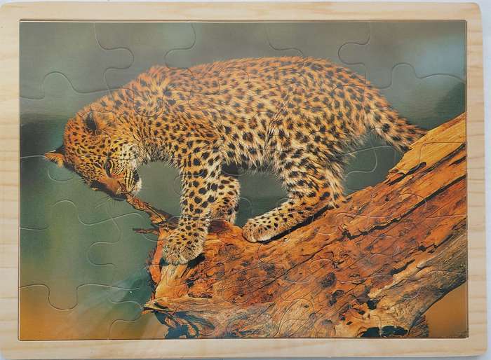 A3- Animal Puzzle