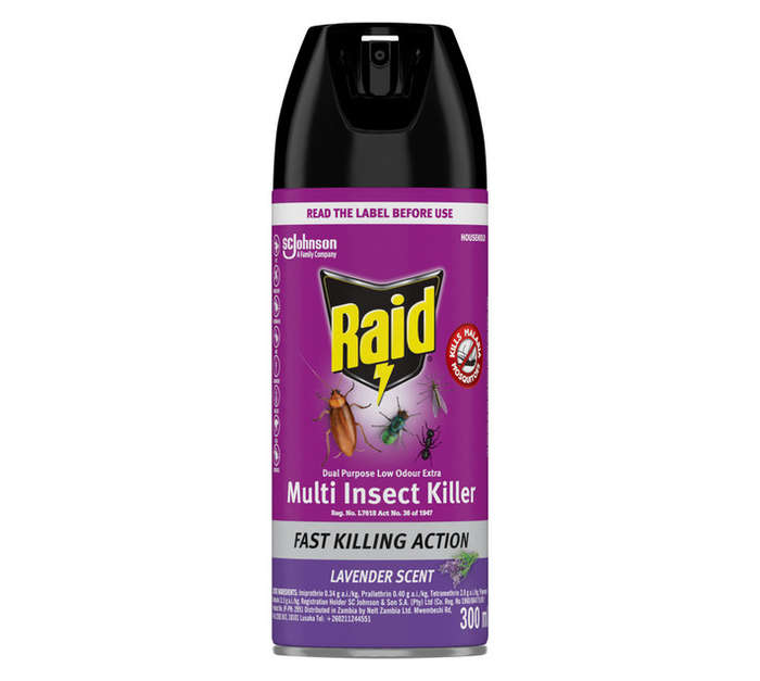 Raid Dual Purpose Odourless Insect Spray (300ml)