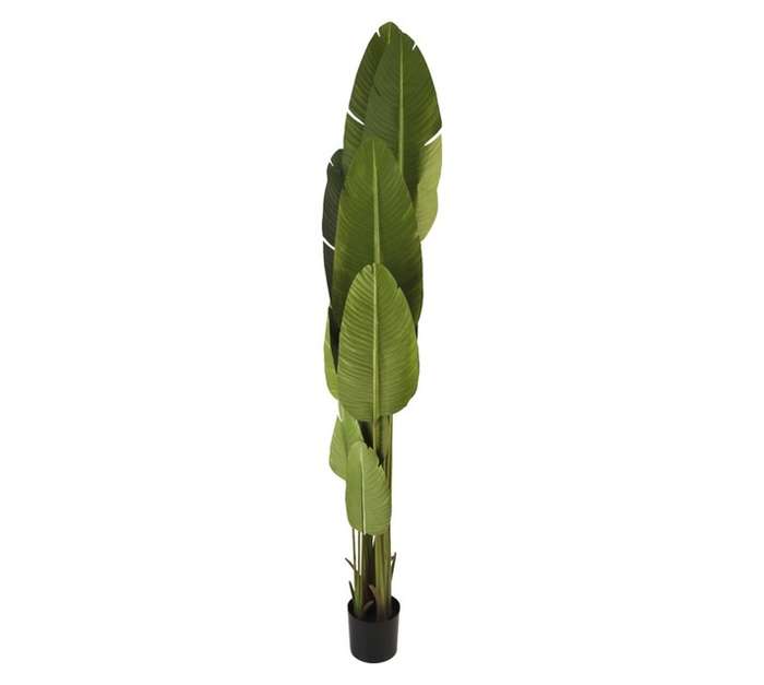 Travelers Artificial Banana Tree (2000mm)