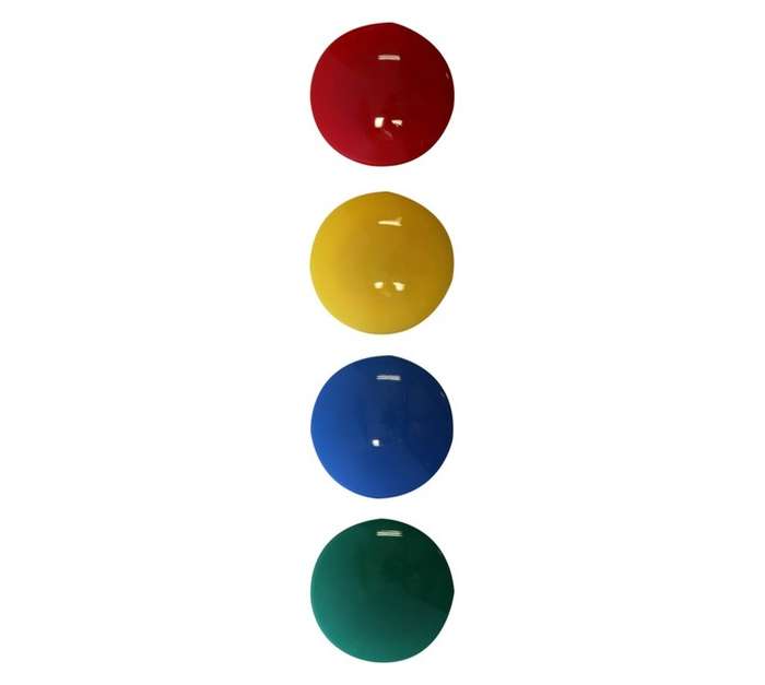 Parrot Products BA0612 4 x Circular Magnets - Assorted (40mm)