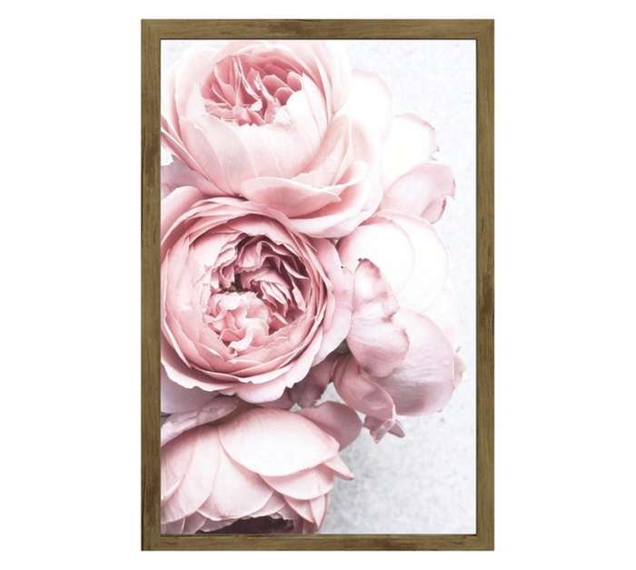Amber Bay Framed Floral Canvas Print - Pink (640 x 940mm)