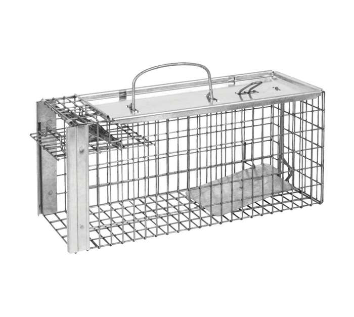 The Big Cheese Cage Rat Trap