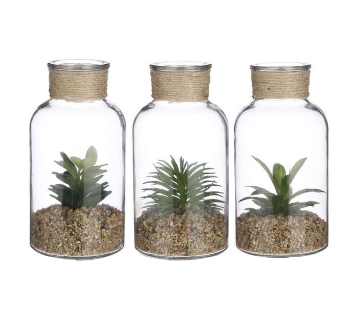 Mica Decorations Succulent Plant Green - Assorted (100 x 100 x 200mm)