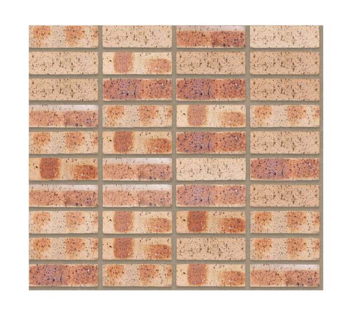 Corobrik Travertine Face Brick - Rustgold (222 x 106 x 73mm)