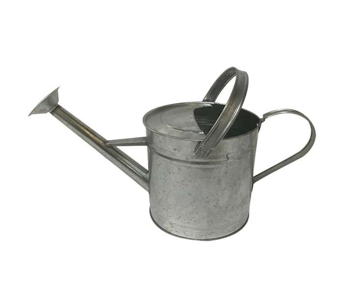 First Dutch Brands Galvanised Watering Can (3.5L)