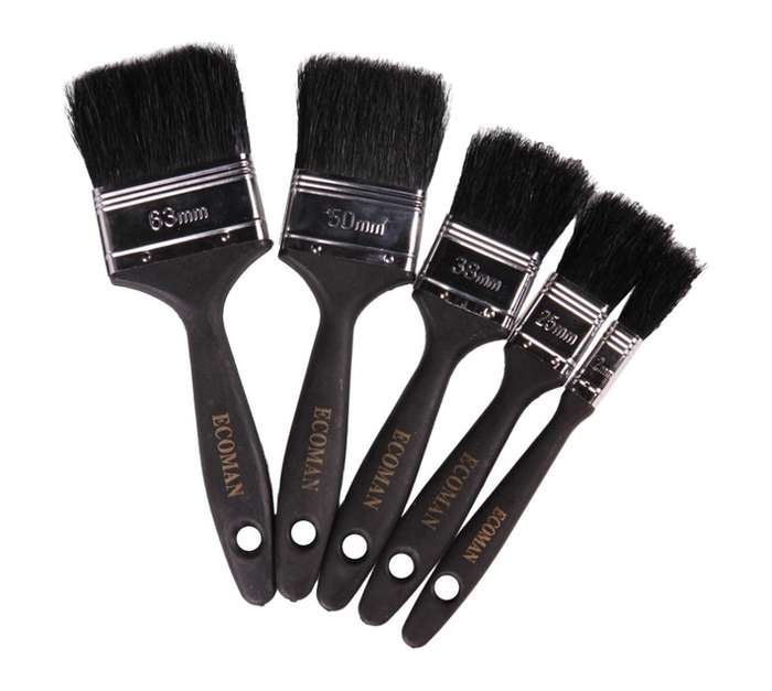 Plus Series Ecoman Paint Brush Set (5 Piece)