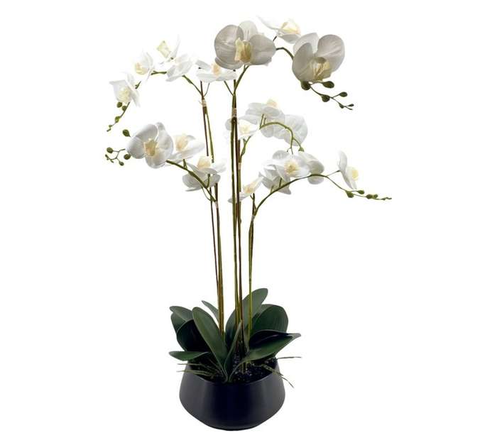 Direkshinz 5 Stalk Artificial Orchid in Pot - White