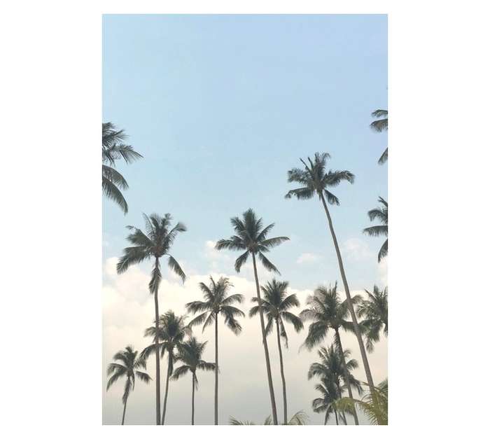 Design House Palms in The Sky Canvas Print - Blue (650 x 450mm)