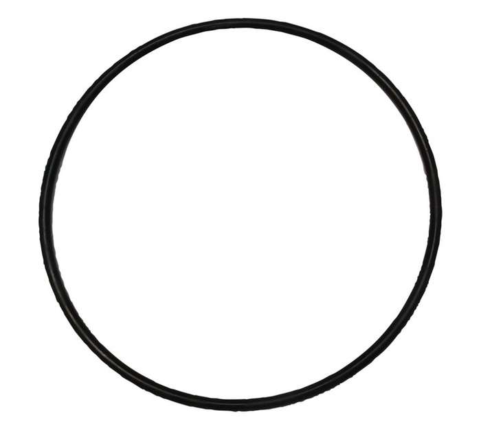 Orca Filter Lid O Ring - Black