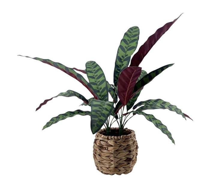 Direkshinz Artificial Peacock Plant with Basket - Multicoloured