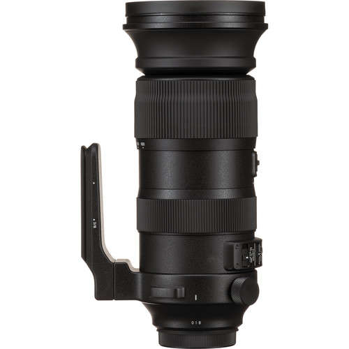 Sigma 60-600mm f/4.5-6.3 DG OS HSM Sports Lens for Nikon F
