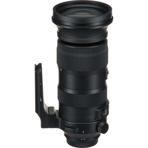 Sigma 60-600mm f/4.5-6.3 DG OS HSM Sports Lens for Nikon F