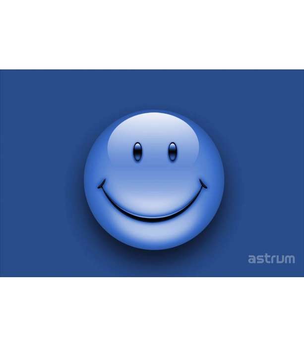 Astrum NB200 3D Vinyl Removable Laptop Skins for up to 15.6"