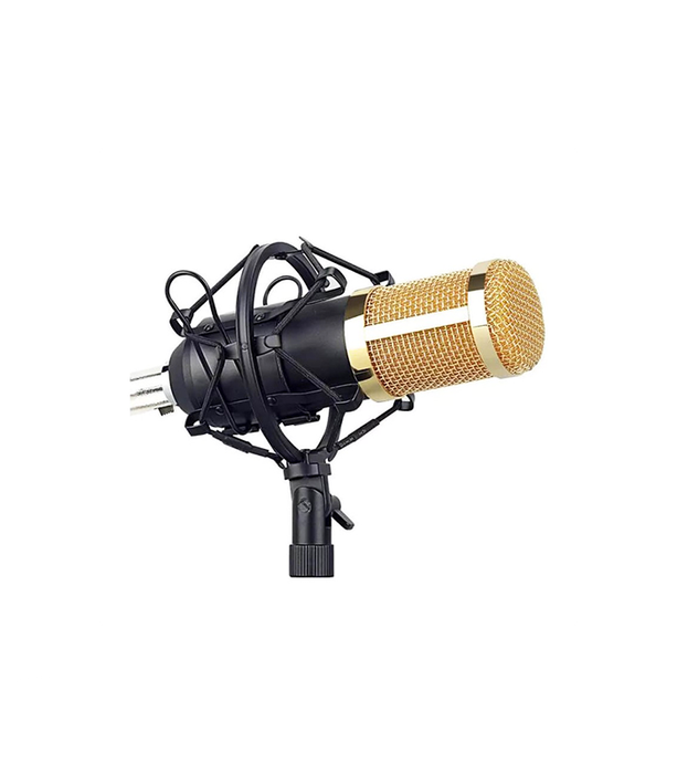 Professional Recording Microphone Soundcard Set M800 Pro Condenser Microphone Kit V8 Sound Card Gold