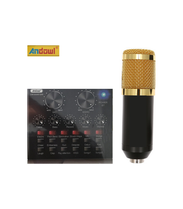 Professional Recording Microphone Soundcard Set M800 Pro Condenser Microphone Kit V8 Sound Card Gold