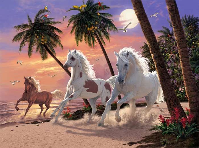 White Horse (50pc Puzzle)
