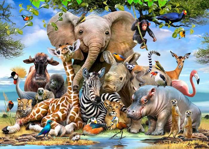 Babies of the wild (50pc Puzzle)