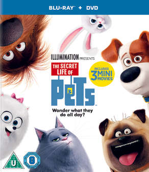 Secret life of Pets, The (Blu Ray+DVD)