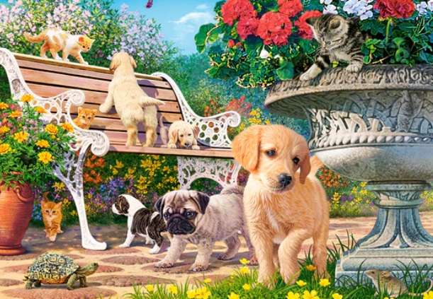 Hide and Seek (500 Piece Puzzle)