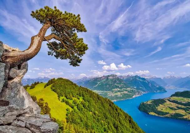 View of the Lake of Uri, Switzerland (1000 Piece Puzzle)