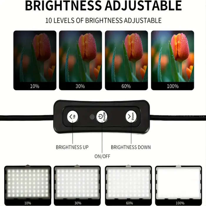 RSI MS300 Triple Studio Video Light Kit