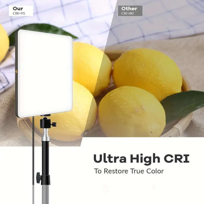 RSI PL26 Fill Light