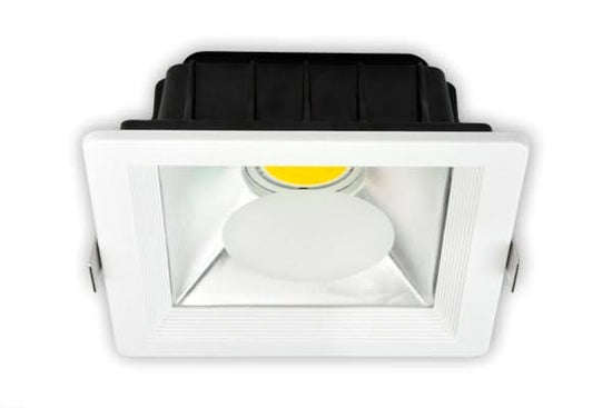 LED Down Light - 10W