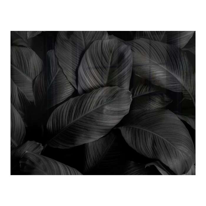 Decorative Glass Wall Tile (898 X 700 X 6mm) Feathers