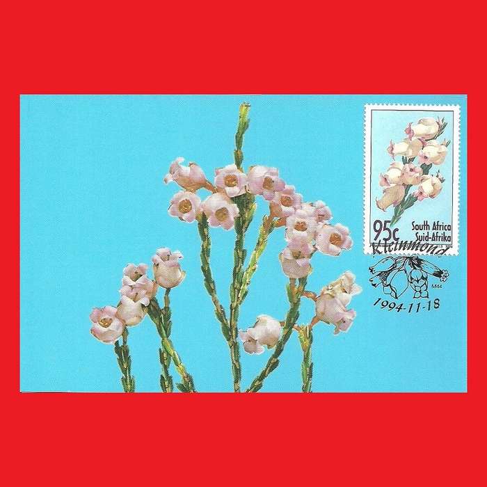 First Day Maxi Card Set 1994/11/18