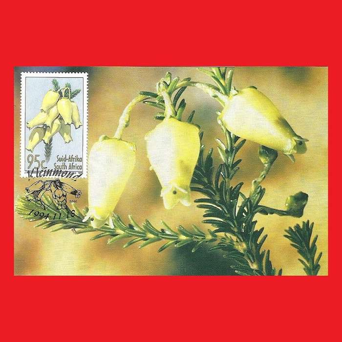 First Day Maxi Card Set 1994/11/18