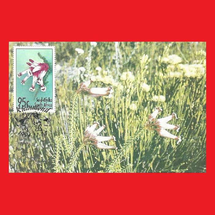 First Day Maxi Card Set 1994/11/18