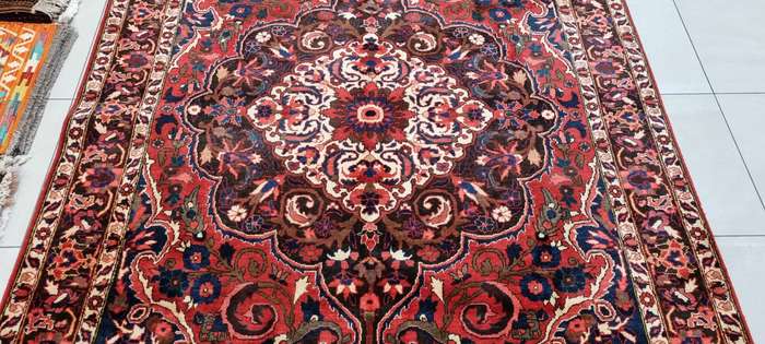 Persian Bakhtiari Carpet 315cm x 220cm Hand Knotted